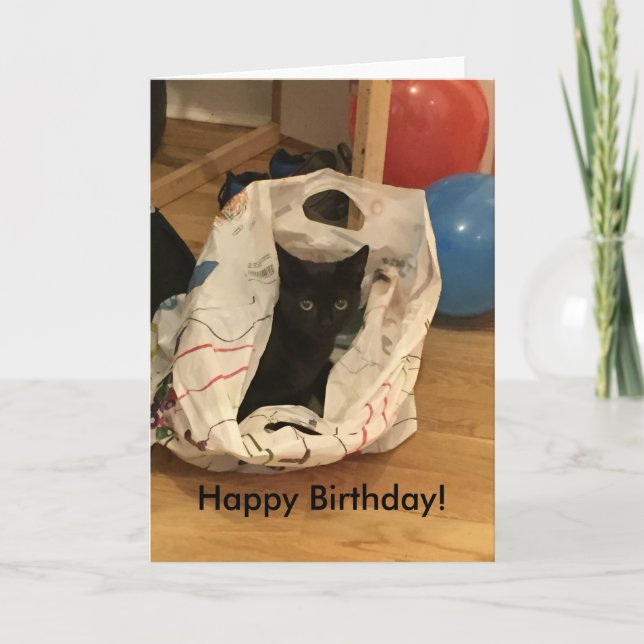 Benutzerdefiniertes Cat Picture Geburtstag Karte (Vorderseite)