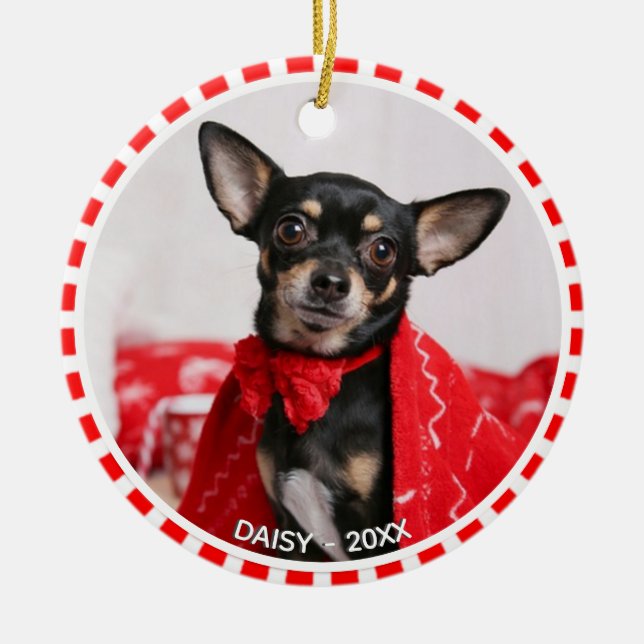 Benutzerdefiniertes Chihuahua-Foto mit Rot- und We Keramik Ornament (Vorne)