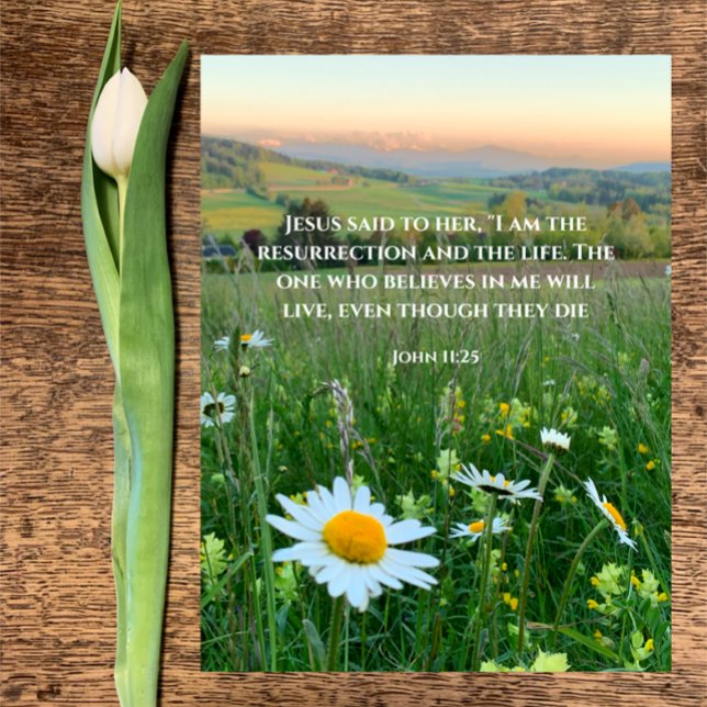 Benutzerdefiniertes Christliches Bibelverse Ursprü Feiertagspostkarte (Beautiful original daisy photo with custom Christian Bible verse John 11:25 Easter resurrection card)