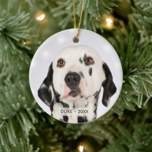 Benutzerdefiniertes Dalmatiner-Dog-Foto Keramik Ornament