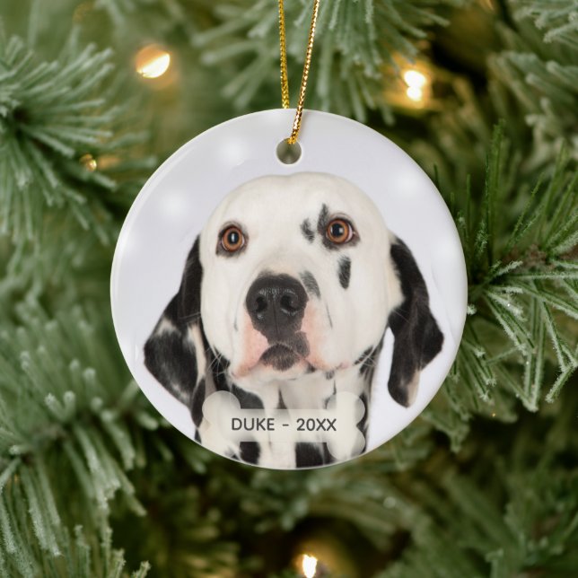 Benutzerdefiniertes Dalmatiner-Dog-Foto Keramik Ornament (Baum)