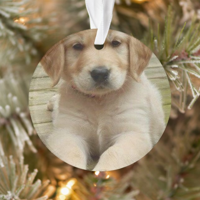 Benutzerdefiniertes Doppelbild Foto Weihnachten Ornament (Baum)