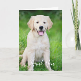 Benutzerdefiniertes einfaches Hund Haustier Foto V Dankeskarte