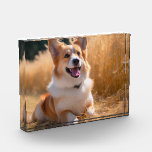 Benutzerdefiniertes Foto<br><div class="desc">Machen Sie Ihr Lieblings-Foto zu einem personalisierten Geschenk! Verwenden Sie ein Familienbild, ein niedliches Begleiter-Foto oder ein beliebiges Bild, das Sie Liebe, um etwas Besonderes zu schaffen. Diese Geschenke sind perfekt für einen Urlaub oder einen Anlass, um Ihre Lieben zum Lächeln zu bringen. Hinweis: Das Foto ist nur ein Beispiel....</div>