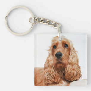 Benutzerdefiniertes Foto-Andenken an Hund Schlüsselanhänger