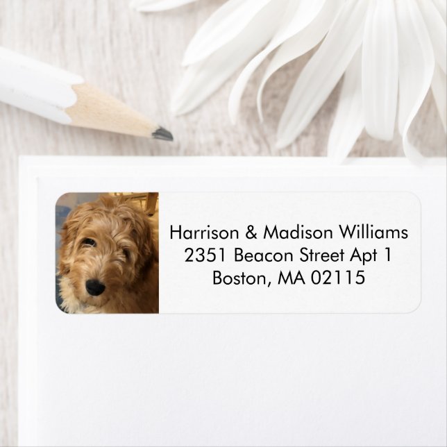 Benutzerdefiniertes Foto Bild Moderne niedliche Rü (Insitu)