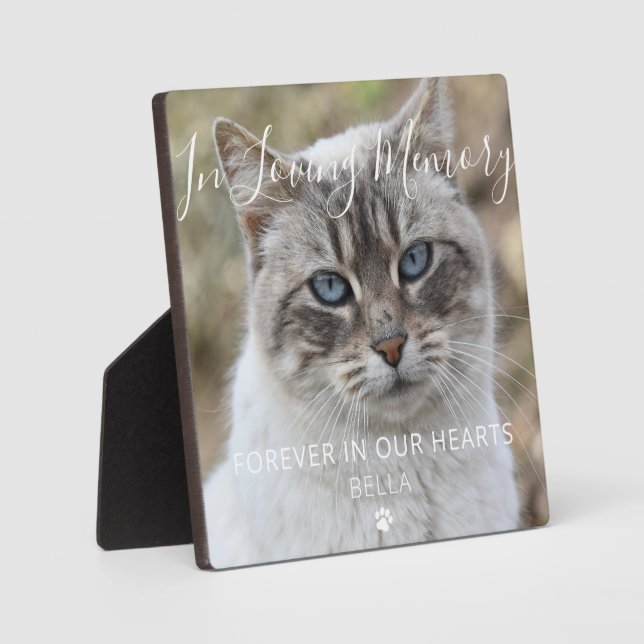Benutzerdefiniertes Foto Cat Memorial Keepake Plaq Fotoplatte (Vorderseite)