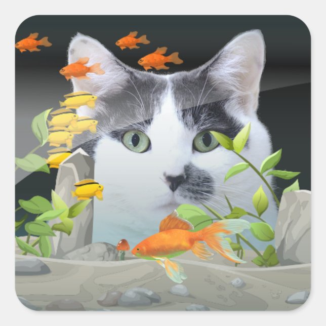 Benutzerdefiniertes Foto Cat Peering in Fischen Ta Quadratischer Aufkleber (Vorderseite)