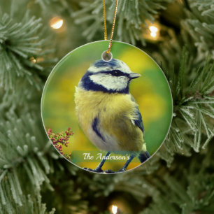 Benutzerdefiniertes Foto des Gelbbauch-Blauhäherch Keramik Ornament