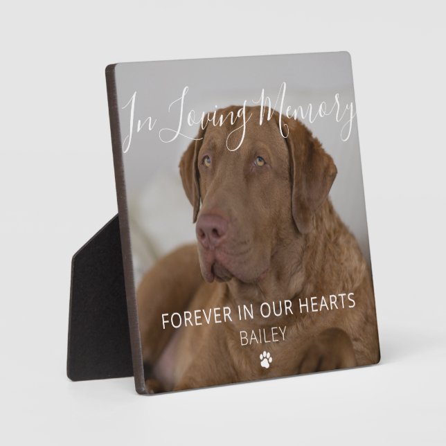 Benutzerdefiniertes Foto Dog Memorial Keepake Plaq Fotoplatte (Vorderseite)