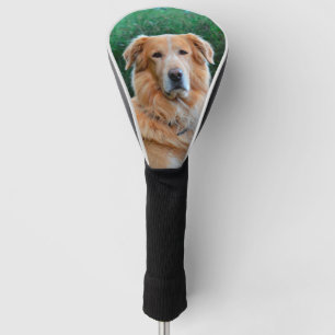 Benutzerdefiniertes Foto für Heimtiere Personalisi Golf Headcover