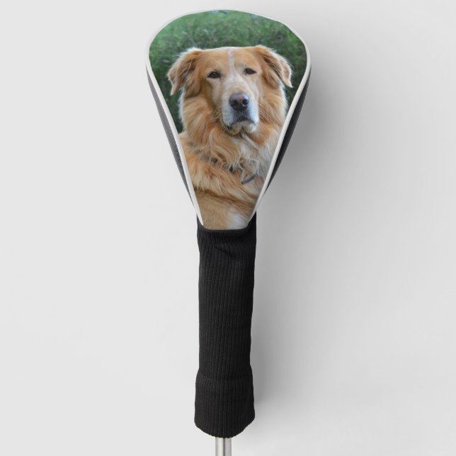 Benutzerdefiniertes Foto für Heimtiere Personalisi Golf Headcover (Vorderseite)