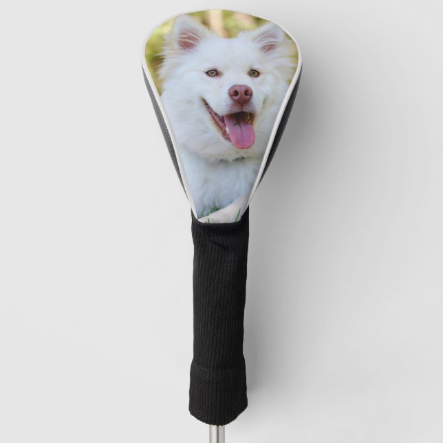 Benutzerdefiniertes Foto für Heimtiere Personalisi Golf Headcover (Vorderseite)