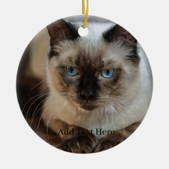 Benutzerdefiniertes Foto für Heimtiere und Name Keramik Ornament (Vorne)
