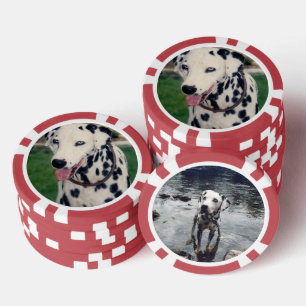 Benutzerdefiniertes Foto für Niedliche Begleiter - Pokerchips