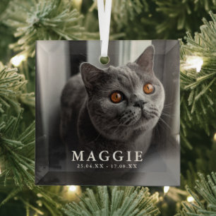 Benutzerdefiniertes Foto Haustier Katze Gedenk Tri Ornament Aus Glas