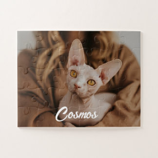 Benutzerdefiniertes Foto Haustier Sphynx-Katze bes