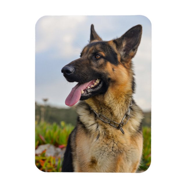 Benutzerdefiniertes Foto Kühlschrank-Magnet Magnet (Vertikal)