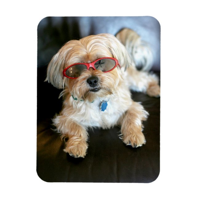 Benutzerdefiniertes Foto Kühlschrank-Magnet Magnet (Vertikal)