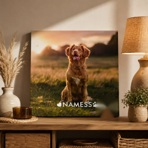 Benutzerdefiniertes Foto mit dem Namen Ihres Hunde