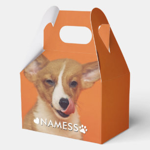 Benutzerdefiniertes Foto mit dem Namen Ihres Hunde Geschenkschachtel