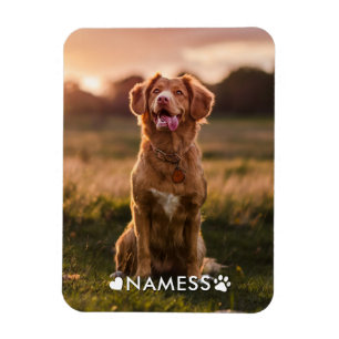 Benutzerdefiniertes Foto mit dem Namen Ihres Hunde Magnet