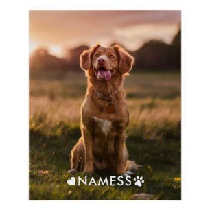Benutzerdefiniertes Foto mit dem Namen Ihres Hunde Poster