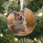 Benutzerdefiniertes Foto Ornament Aus Glas<br><div class="desc">Machen Sie Ihr Lieblings-Foto zu einem personalisierten Geschenk! Verwenden Sie ein Familienbild, ein niedliches Begleiter-Foto oder ein beliebiges Bild, das Sie Liebe, um etwas Besonderes zu schaffen. Diese Geschenke sind perfekt für einen Urlaub oder einen Anlass, um Ihre Lieben zum Lächeln zu bringen. Hinweis: Das Foto ist nur ein Beispiel....</div>