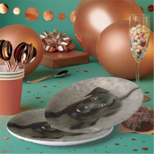 Benutzerdefiniertes Foto Pappteller