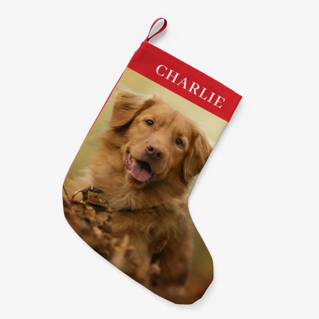 Benutzerdefiniertes Foto Personalisiert Haustier Kleiner Weihnachtsstrumpf (Vorderansicht (hängend))
