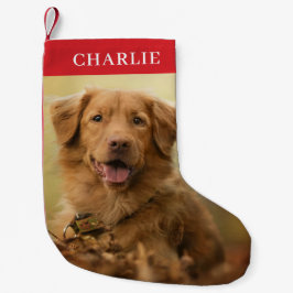 Benutzerdefiniertes Foto Personalisiert Haustier Kleiner Weihnachtsstrumpf
