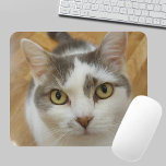 Benutzerdefiniertes Foto Personalisiert Mousepad<br><div class="desc">Laden Sie Ihr Foto hoch und erstellen Sie ein personalisiertes Mousepad. Sie können dieses Design auf anderen Zazzle-Produkten übertragen und an die meisten Zazzle-Produkte anpassen. Sie können auch auf die Schaltfläche CUSTOMIZE klicken, um Details wie Hintergrundfarbe, Text, Schriftart oder einige Grafiken hinzuzufügen, zu löschen oder zu ändern. Standard Studio Designs...</div>