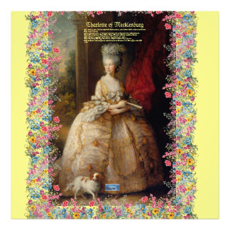 Benutzerdefiniertes Foto (Queen Charlotte E) RFPMD