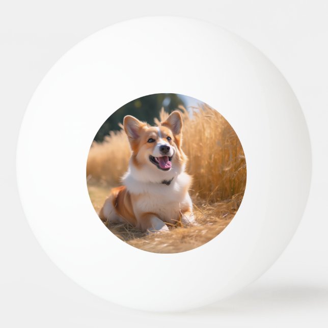 Benutzerdefiniertes Foto Tischtennisball (Vorderseite)