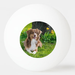 Benutzerdefiniertes Foto Tischtennisball