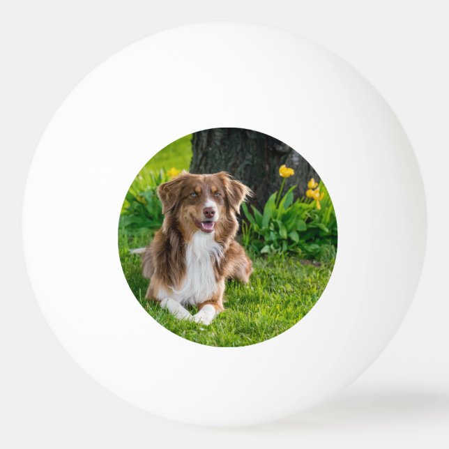 Benutzerdefiniertes Foto Tischtennisball (Vorderseite)