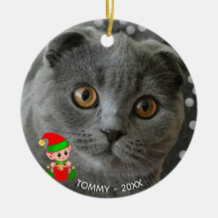 Benutzerdefiniertes Foto von grauer Katze mit süße Keramik Ornament