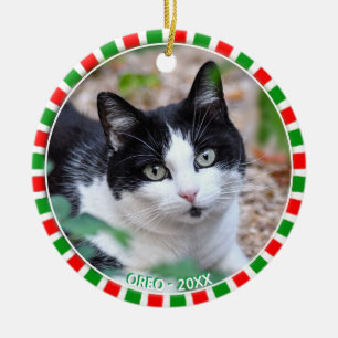 Benutzerdefiniertes Foto von Smokingkatze und grün Keramik Ornament