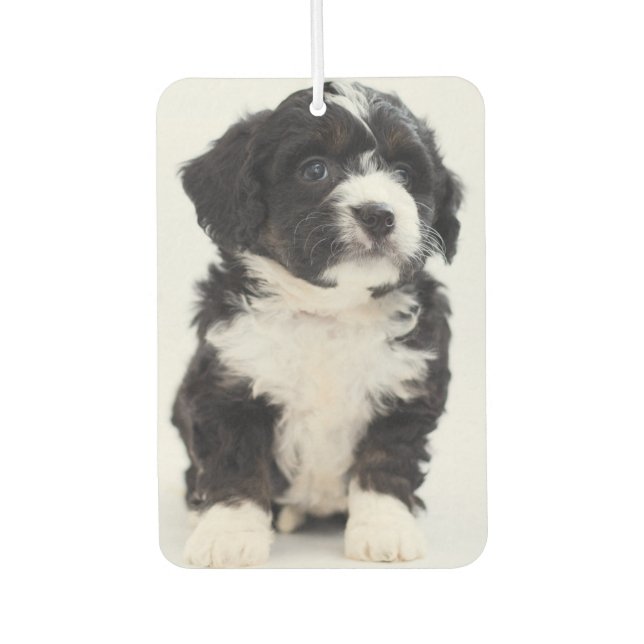 Benutzerdefiniertes Foto Welpen-Hund Personalisier Autolufterfrischer (Vorderseite)