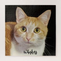 Benutzerdefiniertes Fotomaterial Niedliche Katze M