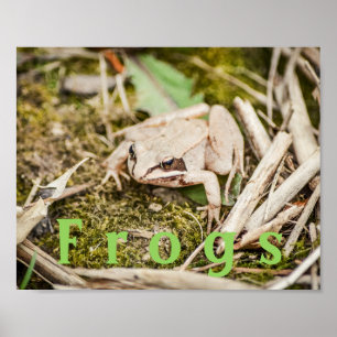 Benutzerdefiniertes "Frösche" Amphibien Wald Frosc Poster
