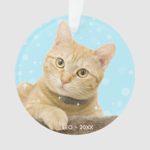 Benutzerdefiniertes Ginger Tabby Katzenfoto Ornament