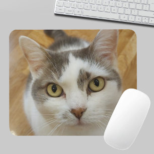 Benutzerdefiniertes Haustier-Foto Personalisierte Mousepad