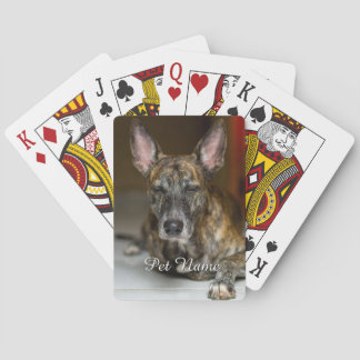 Benutzerdefiniertes Haustier Katze Hund Foto  Spielkarten