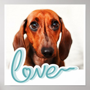 Benutzerdefiniertes Haustierfoto mit LOVE in blaue Poster