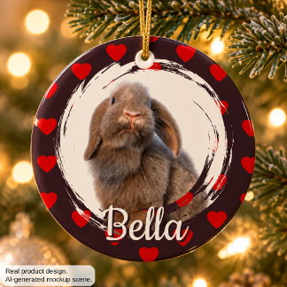 Benutzerdefiniertes Holland Lop Kaninchen Foto und Keramik Ornament