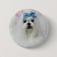Benutzerdefiniertes Hunde-Foto | Personalisierter 