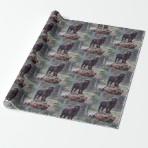 Benutzerdefiniertes Hundeschleifpapier