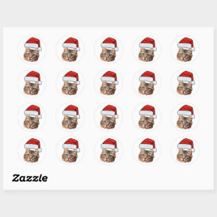 Benutzerdefiniertes Katzen-Gesicht-Foto Weihnachts Runder Aufkleber