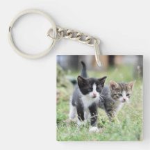 Benutzerdefiniertes Katzenfoto-Andenken